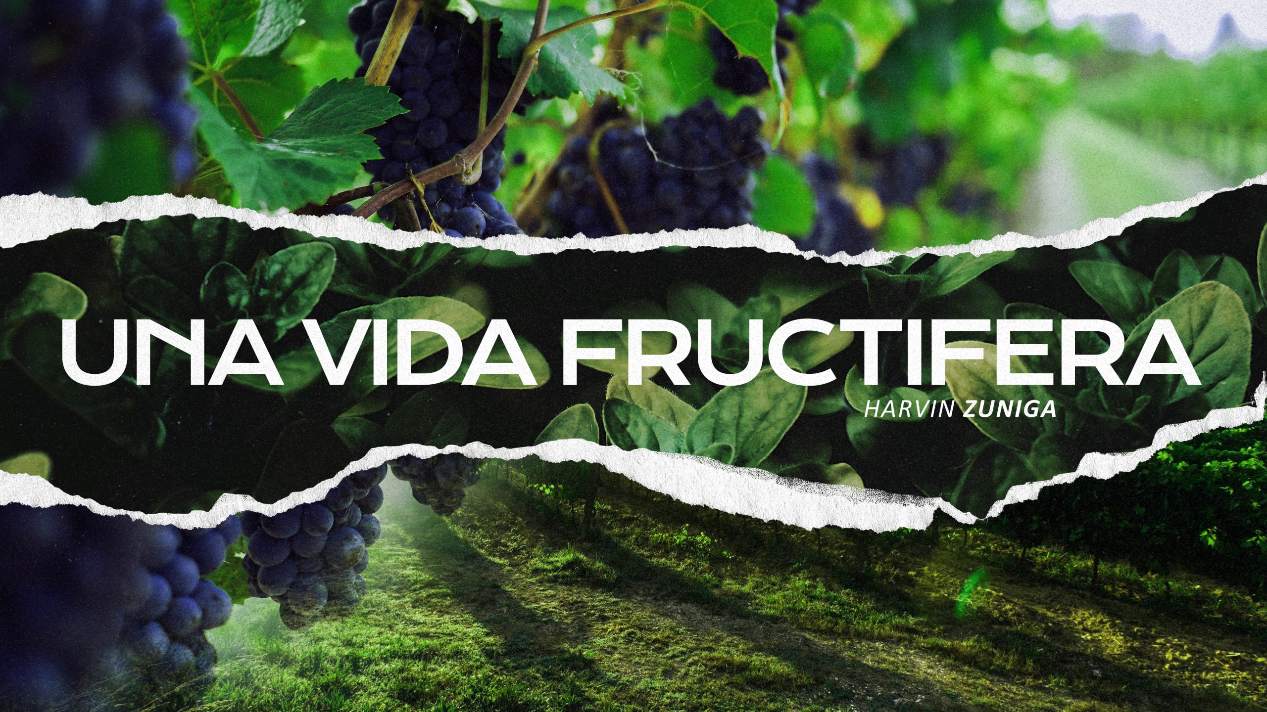 una vida fructífera - mensaje cristiano - iglesia en Madrid - Madrid - España - Dios - Jesús - Espíritu Santo
